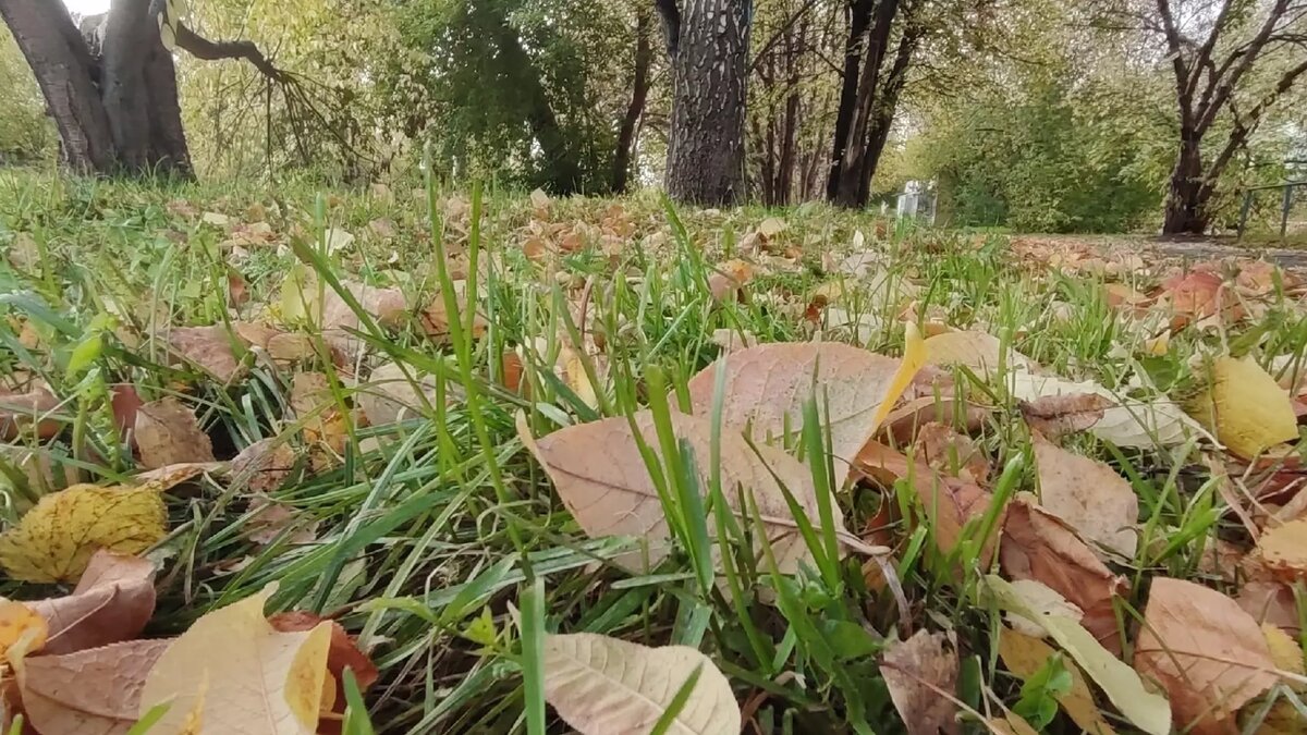     Автор: Алина Гурицкая Источник: atas.info