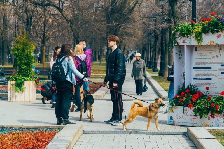    Фото: t.me/mos_sobyanin Анфиса Слепцова