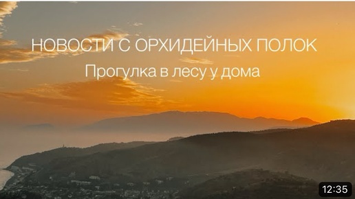 «а-ля Пиниф» оказался не пиниф . Разговоры. Прогулка на обрыв у дома