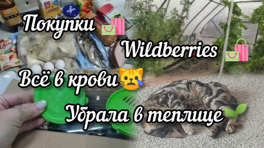 Покупки 🛍️Заказы с Wildberries 🛍️ Всё в крови!!! Освобождаю теплицу 🍅🥒