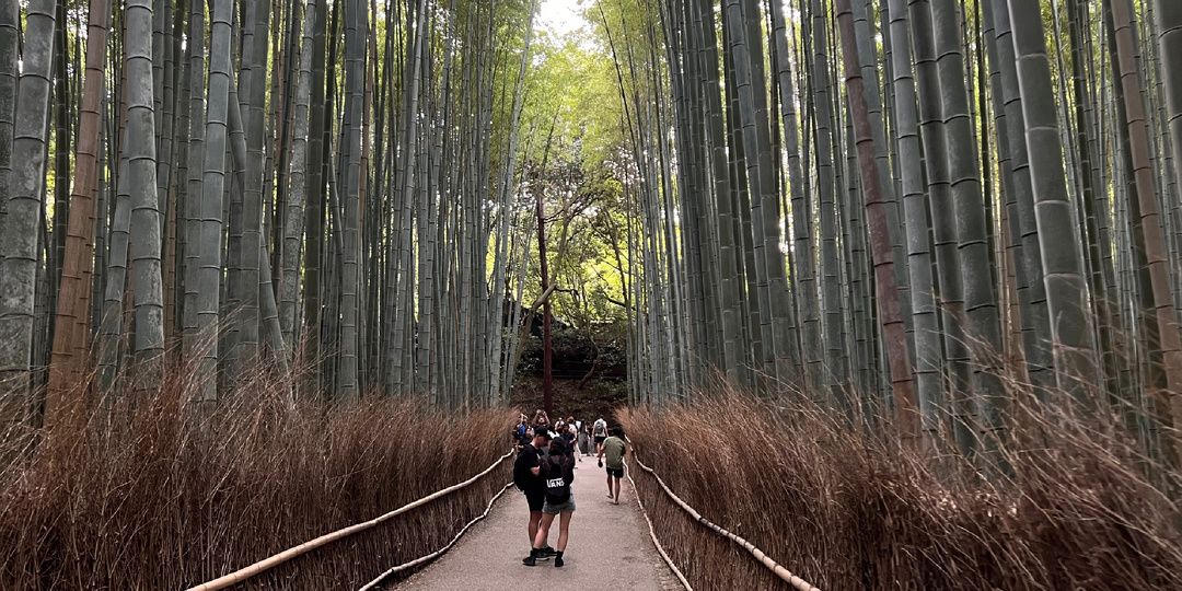 Маршрут по Японии, если в запасе всего неделя