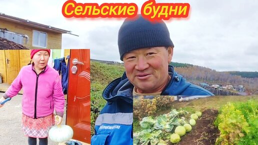 Капуста уродилась, тыква тоже 😀