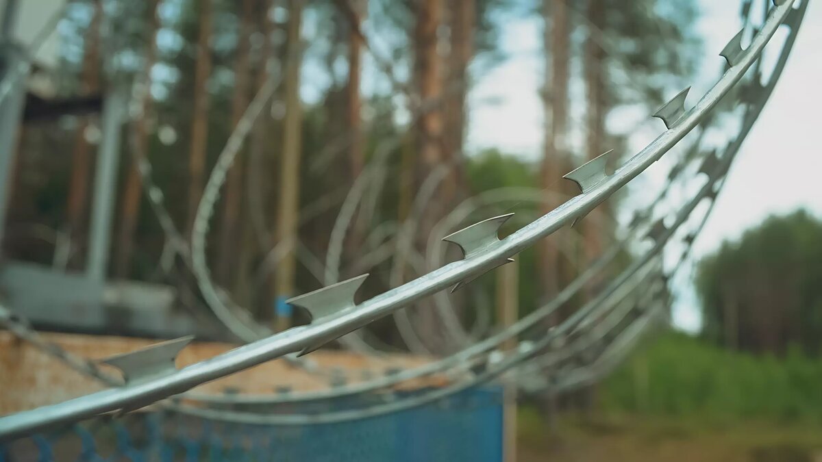     Источник: 1MI