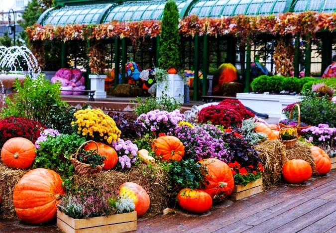 Фестиваль «Золотая осень. Праздник урожая». Из открытых источников