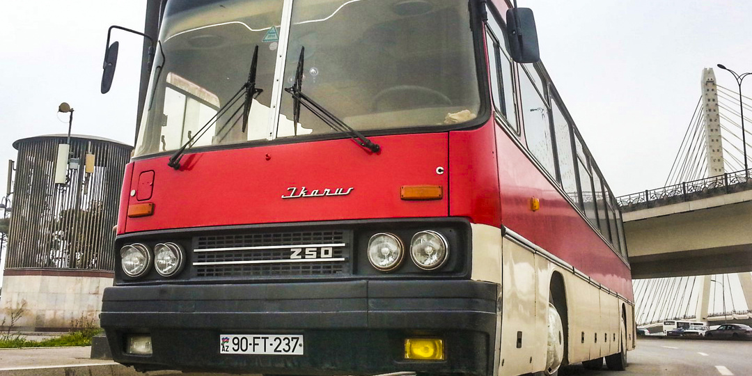 "Респект венграм": Автобусы Икарус до сих пор выпускают. Решил узнать, как сейчас выглядят новые модели и сколько стоят
