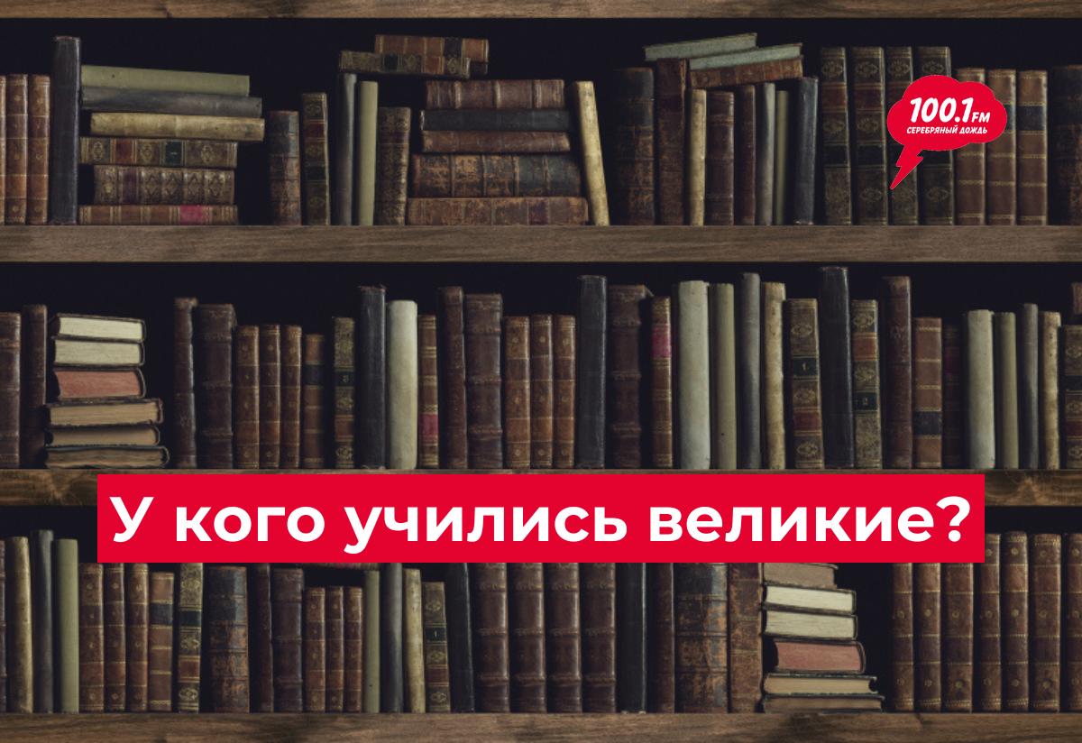 Фото: Stokkete / Shutterstock