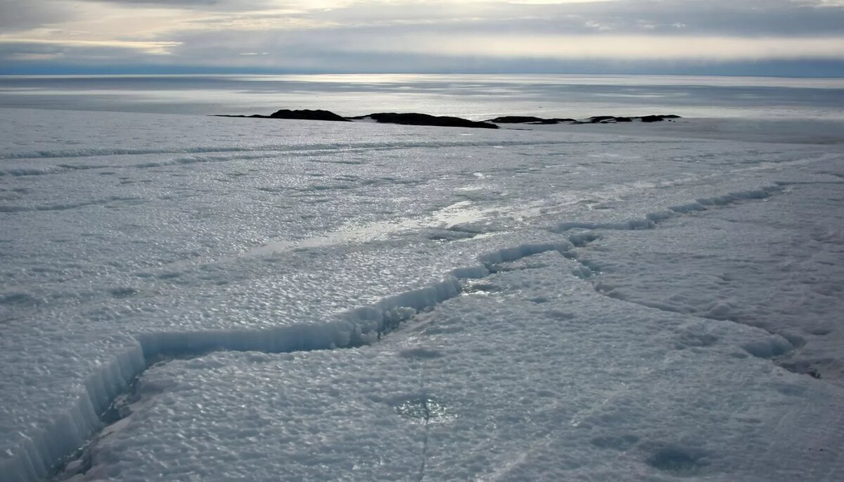 © Sputnik / Алексей Никольский