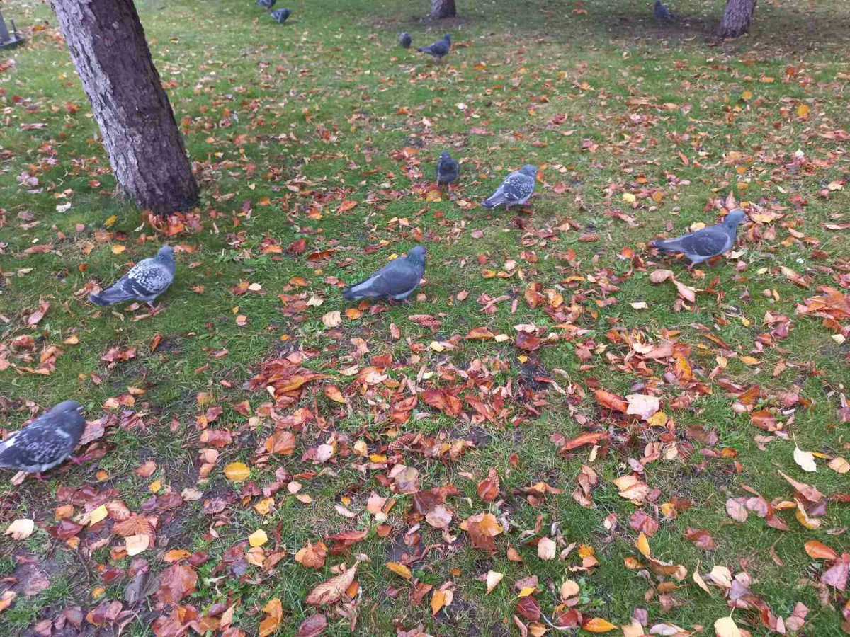 Фото автора.