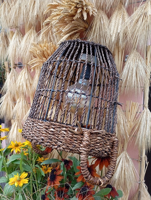 Рига, 29 июля 2024