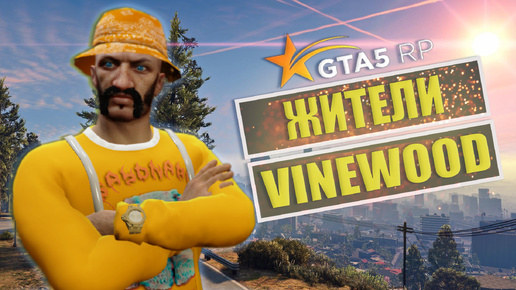 GTA 5 RP ЖИТЕЛИ VINEWOOD #6