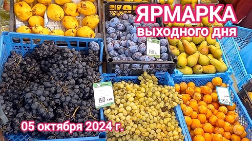 Краснодар - Ярмарка выходного дня на ул. Одесской - цены на продукты - 05 октября 2024 г.