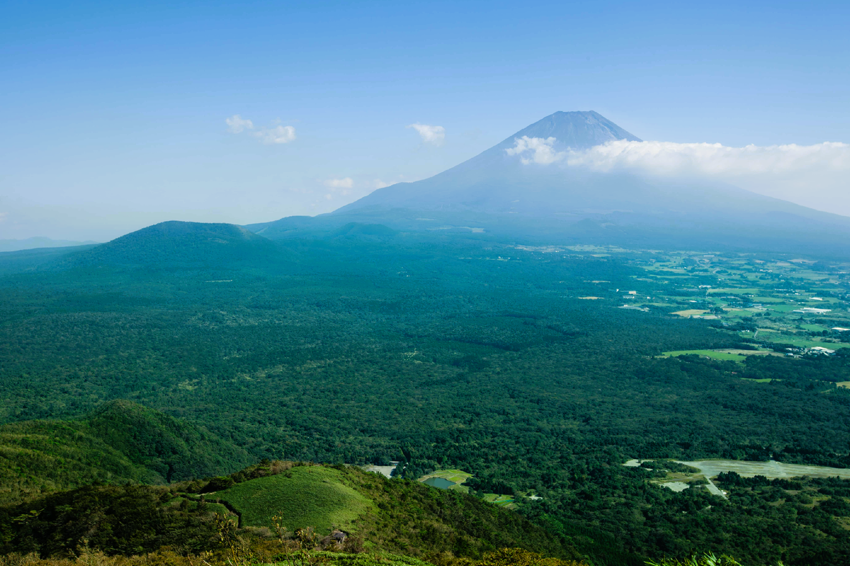 Лес Аокигахара у подножья горы Фудзи. Вид сверху. Фото взято из открытого источника.