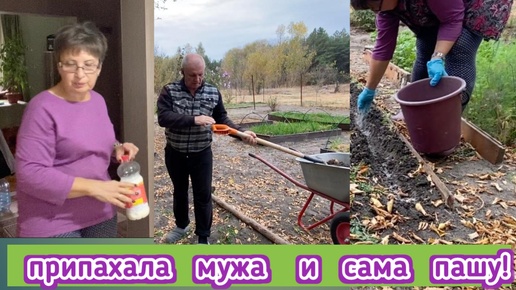 Припахала мужа на огороде, сама сажаю чеснок и доделываю клумбы! накормила мужа оладушками /жизнь в деревне