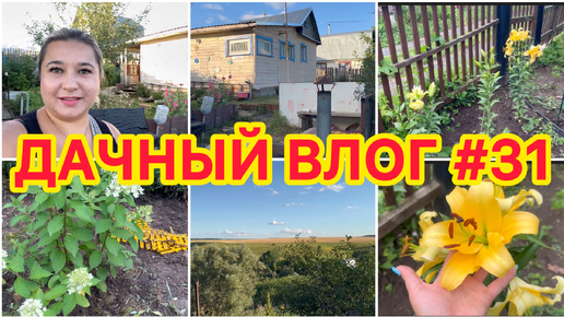 🏡 ДАЧНЫЙ ВЛОГ #31: ОБЗОР ДАЧИ БРАТА / ЦВЕТЕНИЕ ЛИЛИЙ И ГОРТЕНЗИЙ 👍 ПОКОСИЛИ ТРАВУ