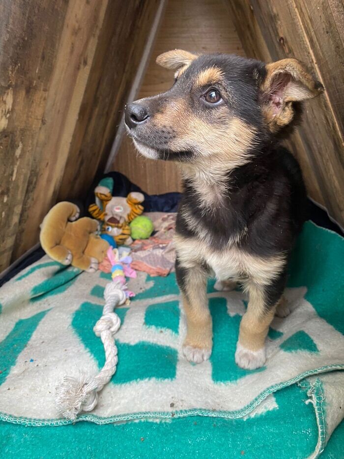 Листайте вправо, чтобы увидеть больше изображений