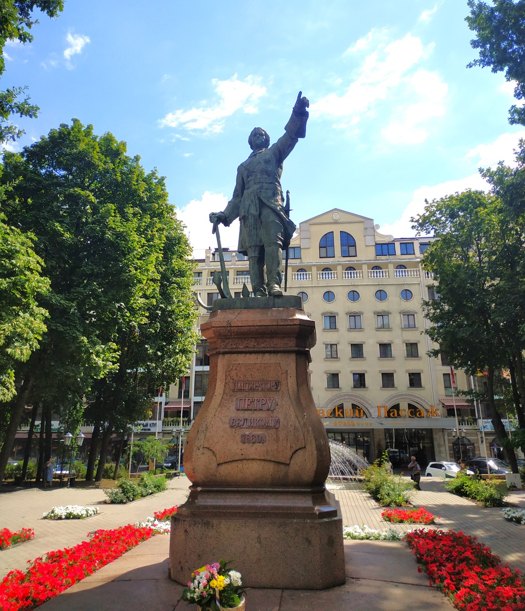 Памятник Петру I, Воронеж