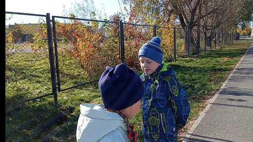 Будни нашей семьи.Выкосили и убрали траву.У Саввы поднялась температура.