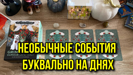 ЧТО ПРОИЗОЙДЕТ НЕОБЫЧНОГО НА ДНЯХ⁉️🎁🍄👀 гадание на таро Tarot Reading