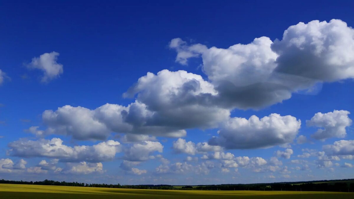     Источник: 1MI