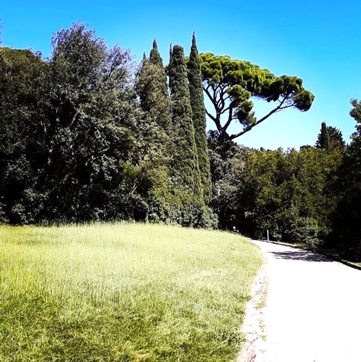 Воронцовский парк в Крыму (Фото автора)