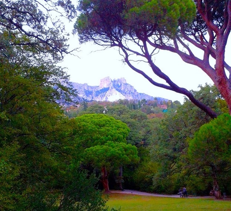 Вид на гору Ай-Петри из Воронцовского парка (Фото автора)