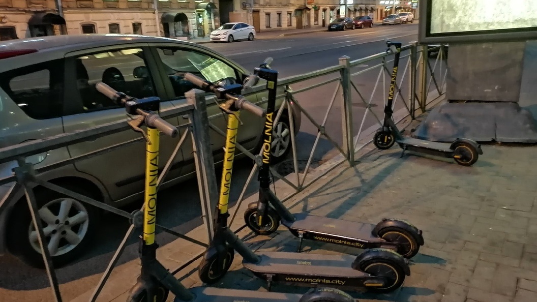    Фото: Ксения Дударева/Царьград