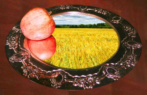 фото Яндекс Картинки