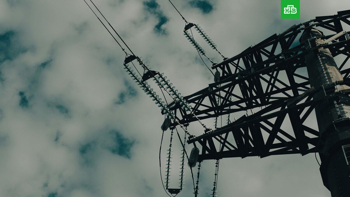    Фото: Roman Petrov / unsplash.com