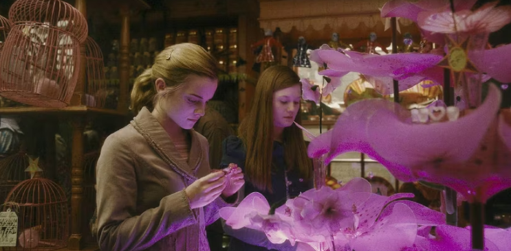 Любовные зелья искореняют согласие