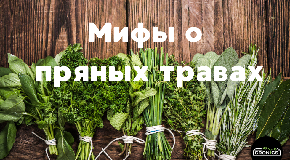 Развенчиваем мифы: неожиданные факты о пряных травах