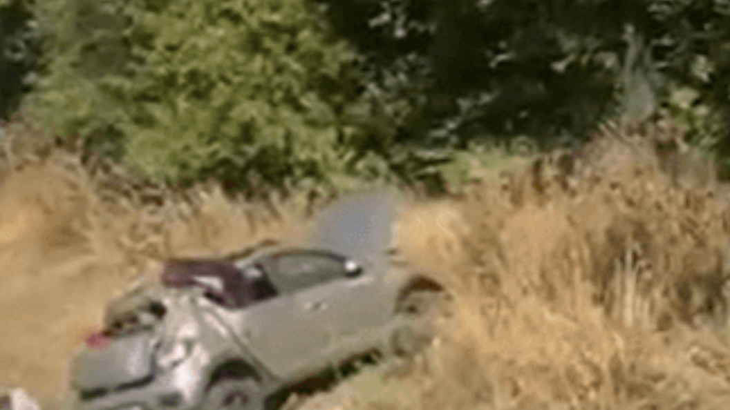    Фото: t.me/gibdd123region