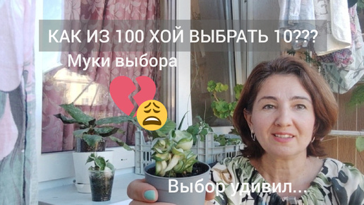 Как из 100 Хой выбрать 10? Выбор удивил...