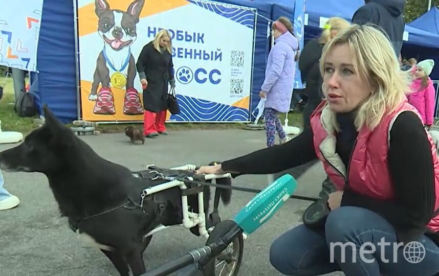    скриншот репортажа телеканала "Санкт-Петербург"