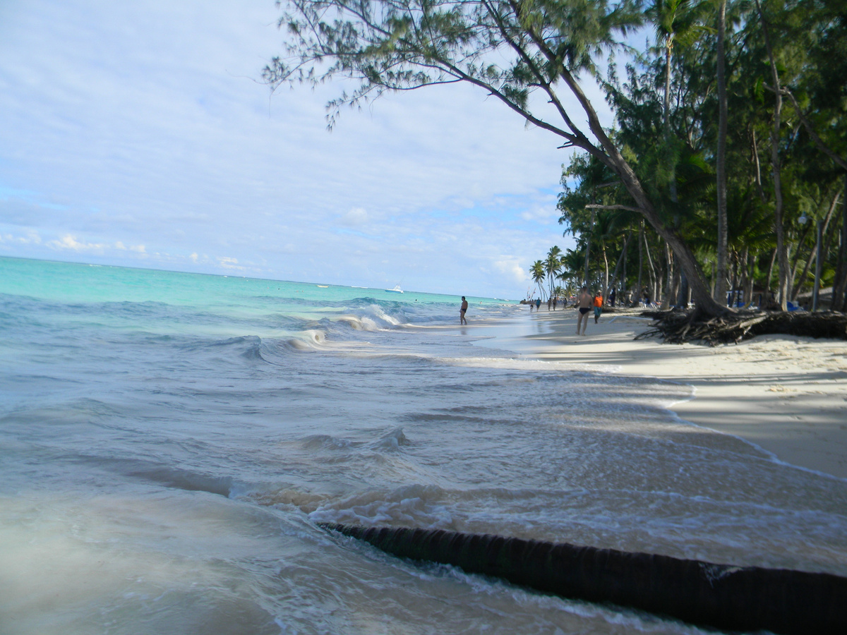 Пляж. Фото автора статьи. 