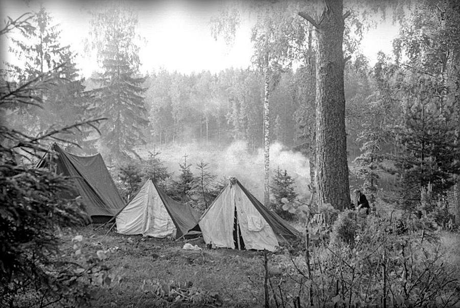 яндекс картинки