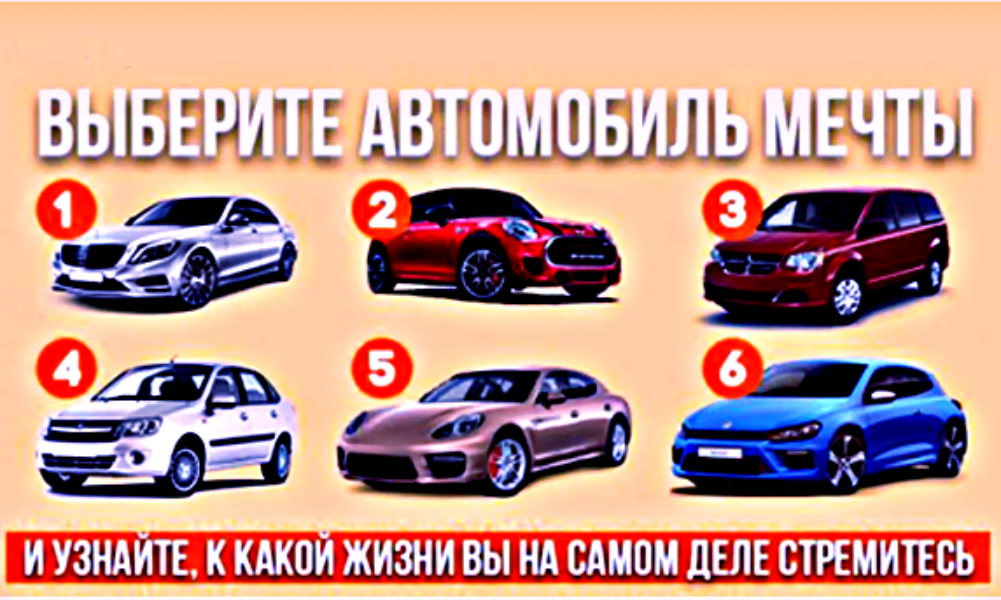 Водитель и автомобиль - стать единым целым. Фото: zvez-dec.ru