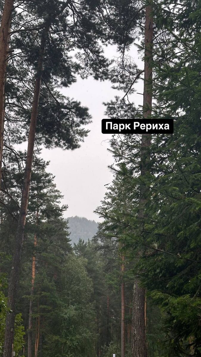 -1-3