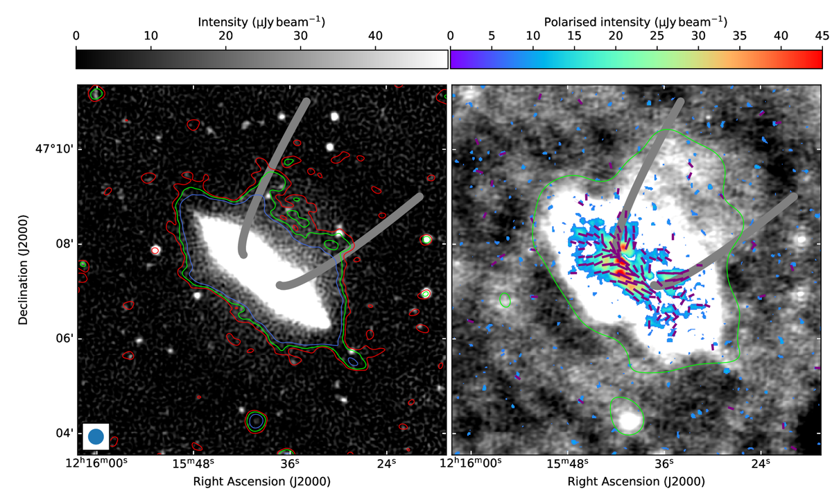 Радиоизлучение в гало NGC 4217. Слева: На фоновой карте серого цвета показано радиоизлучение VLA на частоте 3 ГГц с угловым разрешением 7 угловых секунд. Контурные линии показывают уровни распределения 2𝜎, 3𝜎 и 5𝜎 на частоте 144 МГц (красный, зеленый и синий), наблюдаемые с помощью LOFAR при угловом разрешении 20 угловых секунд. Из данных были вычтены неопределённые источники. Справа: радиоизлучение LOFAR в непрерывном спектре на частоте 144 МГц с усиленным диффузным излучением при угловом разрешении 20 угловых секунд. Контурная линия находится на уровне 320μJy beam−1 с разрешением 40 угловых секунд, что соответствует 0.8𝜎. Сложные фоновые источники были удалены. Цветное излучение показывает поляризованную интенсивность при разрешении примерно 9 угловых секунд на частоте 3 ГГц, наблюдаемую с помощью VLA. Соответствующие векторы показывают ориентацию магнитного поля (длина вектора пропорциональна интенсивности поляризации). Толстыми серыми линиями показана предполагаемая форма переноса электронов космических лучей в сверхгалактике.