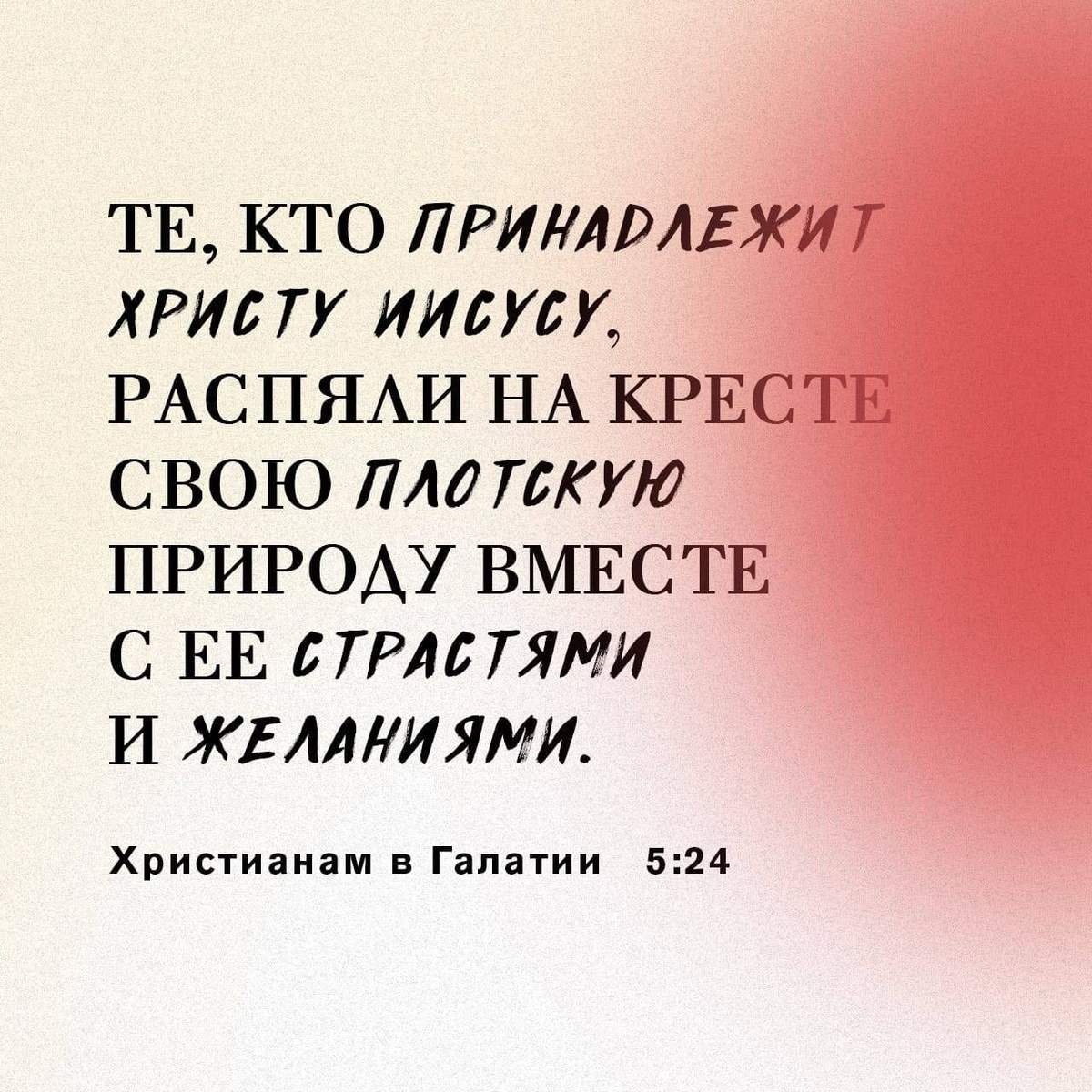 Галатам 5:24 НРП