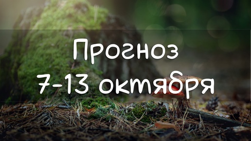 ГОРОСКОП НА НЕДЕЛЮ 7-13 октября. Вполне рабочая неделя с опасным выходным.