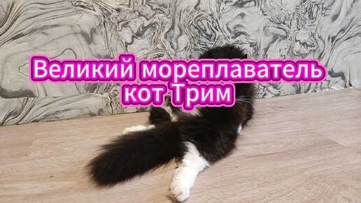 Великий мореплаватель кот Трим