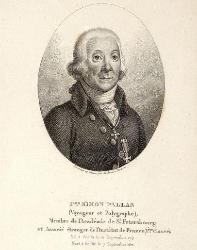 Peter Simon Pallas. 1820-е гг. 