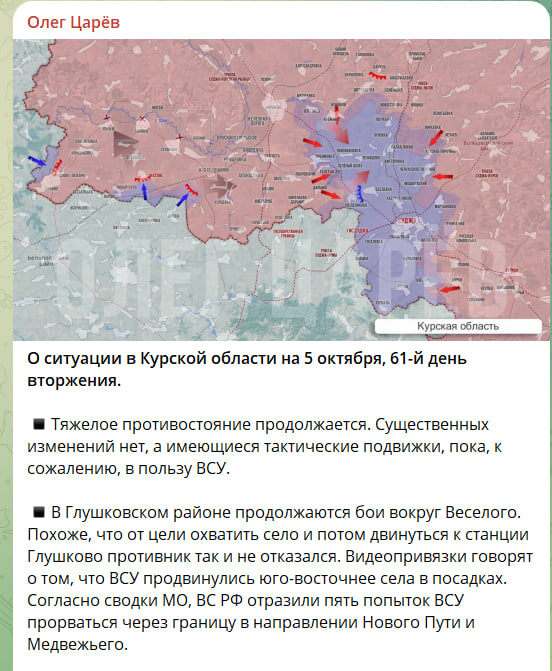    Скриншот с канала "Олег Царёв"