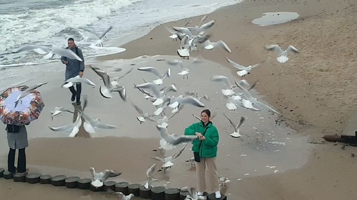 🌊⛱️ЗЕЛЕНОГРАДСК ПОГОДА СЕГОДНЯ 🍁🌡️ ТРЕТИЙ ДЕНЬ В САНАТОРИИ, НОВЫЕ ПРОЦЕДУРЫ 🔥