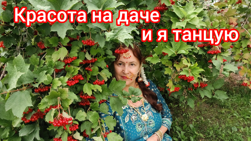 Прогулялись на даче и налюбовались на красивую природу 🌻🤩