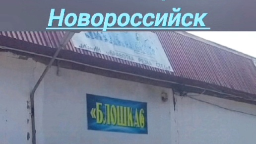 Блошка в Новороссийске и мои находки 👌