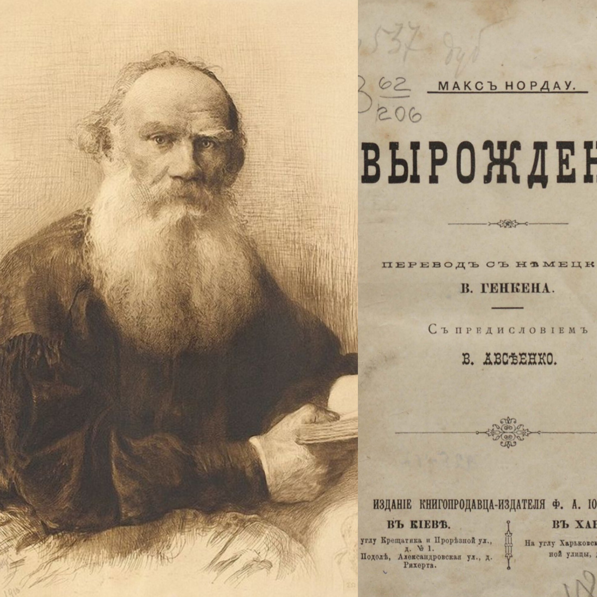 Коллаж автора из фото в свободном доступе 