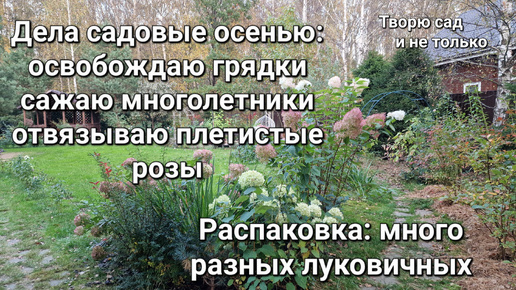 Творю сад. 05.10.24. Осень. Что делаю в саду? Распаковка посылки с луковичными.