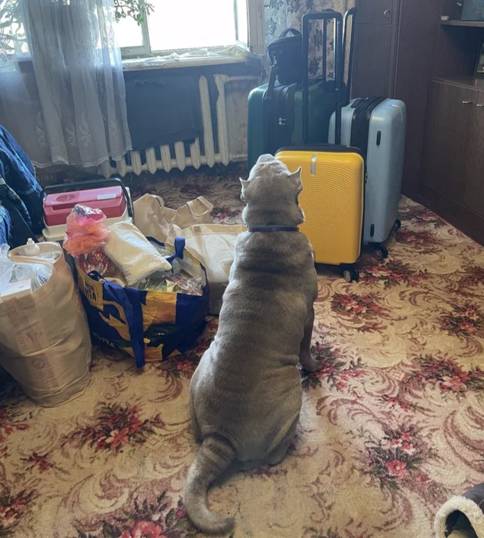 Тагри готов к выезду!