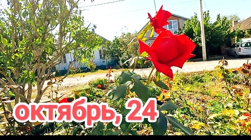 Кварталы *СРЕДНЕГО КЛАССА*🌹